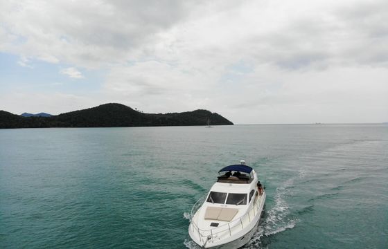 Princess 54