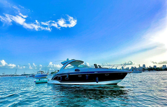 40FT Formula 2014