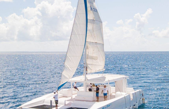 Alta - Caribe 2