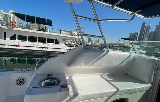 SILVER CRAFT