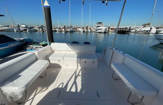 SILVER CRAFT