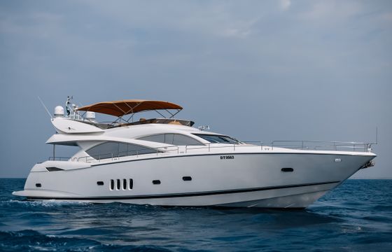 SUNSEEKER WHY NOT