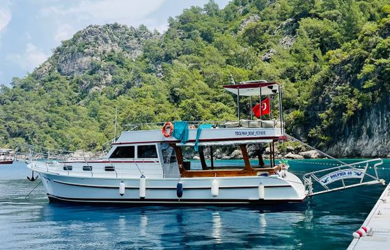 Dolphin 48