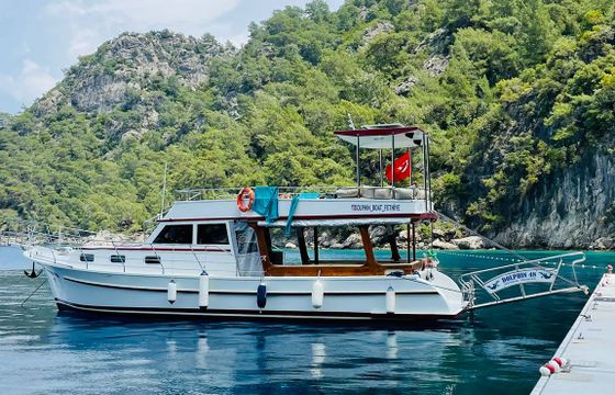 Dolphin 48