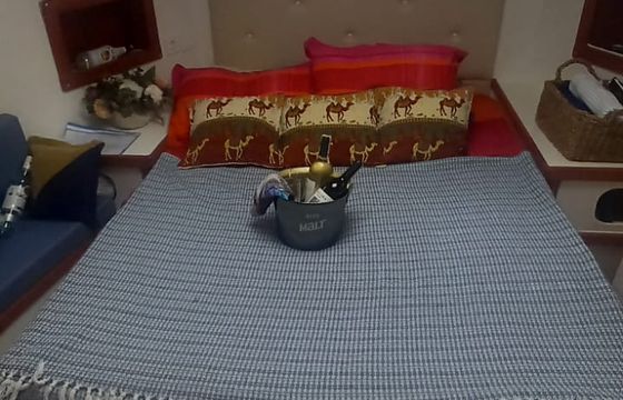Dolphin 48