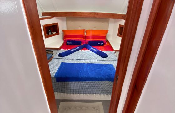 Dolphin 48