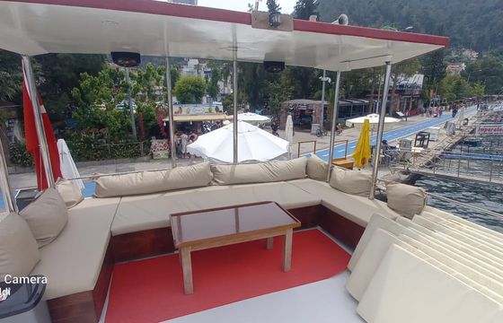 Dolphin 48