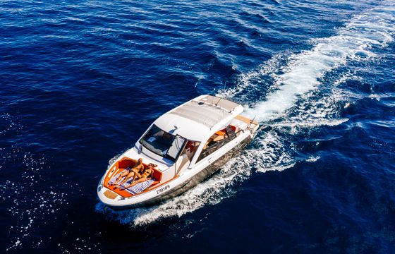 Bavaria Vida 33