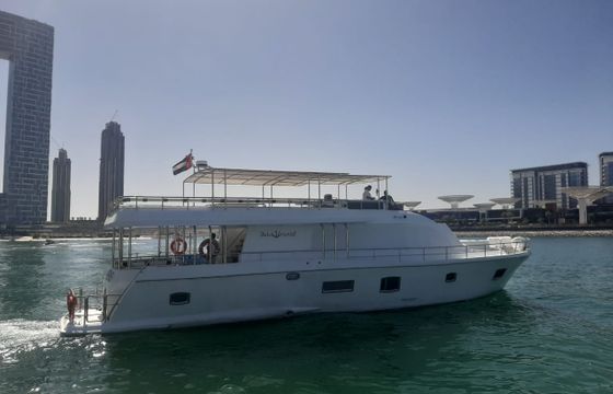 VENUS 85
