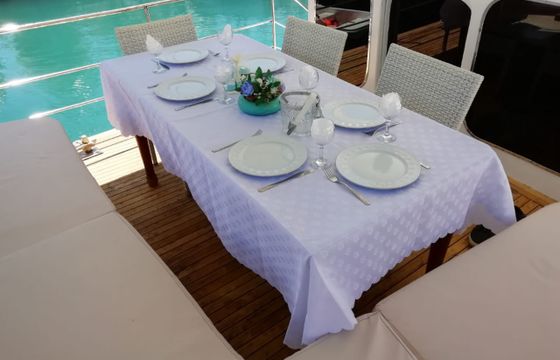  Şampiyon Falez