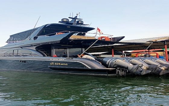 Monohull MN
