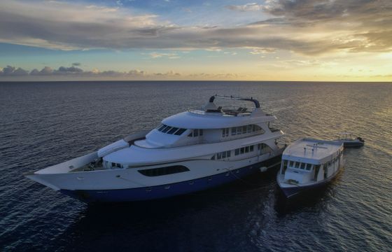 Honors Legacy