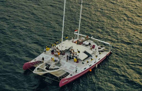 ANC Catamaran