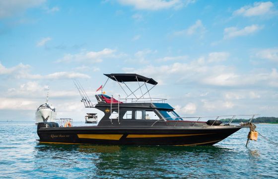 QR10 Boat