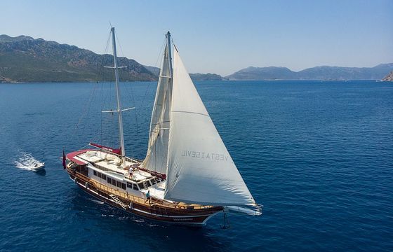 VESTA 1 SEVİL