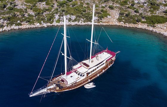 VESTA 1 SEVİL