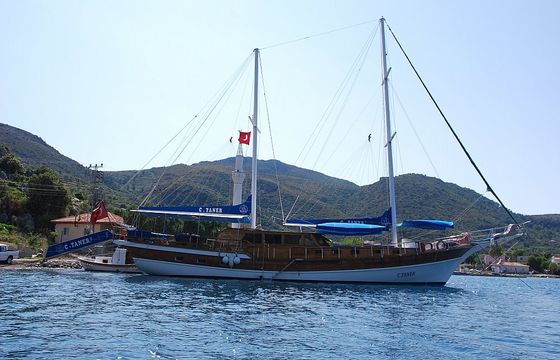 C. TANER