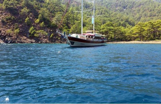 CAFEROĞLU 8 