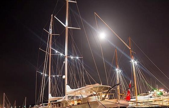 SILVER MOON