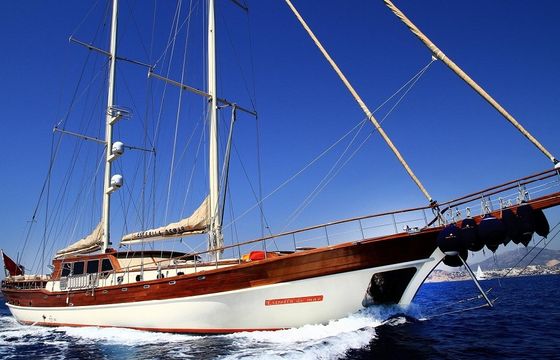 ESTRELLA DE MAR