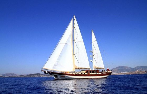 ESTRELLA DE MAR