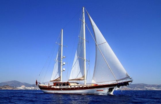 ESTRELLA DE MAR