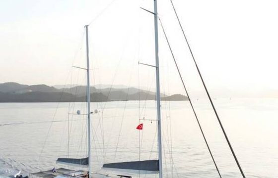 Motorsailer De Love