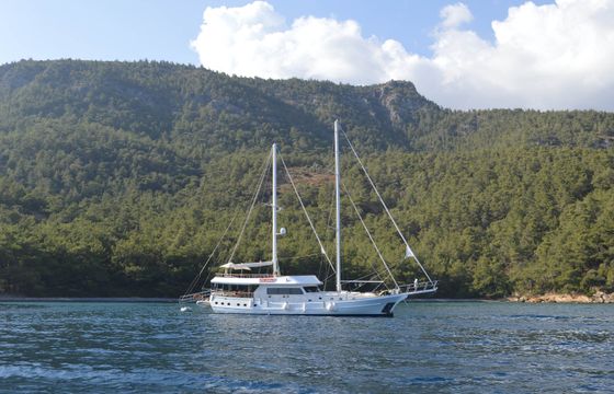 Gül Sultan