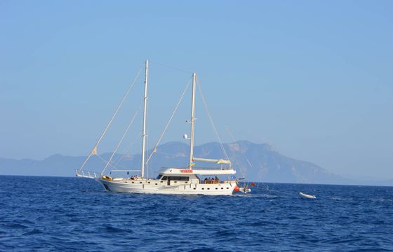 Gül Sultan