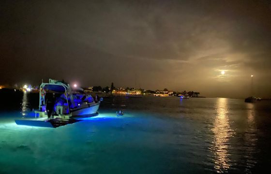 Palm Beach Luxury Day Boat Cruises