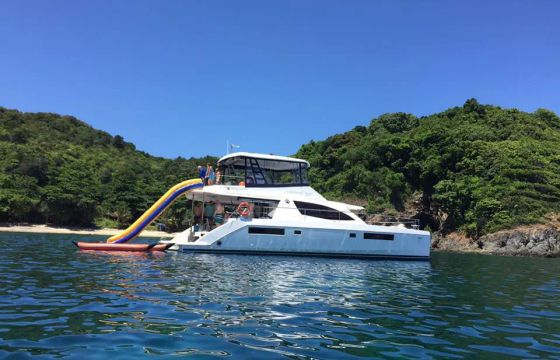 Leopard 51