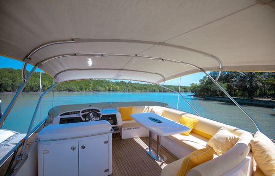 PRINCESS 54FT