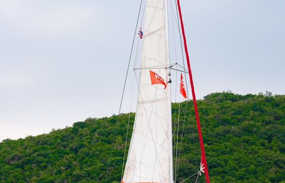 ROSE 39FT