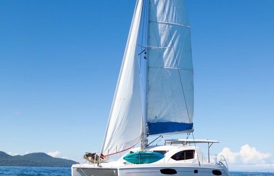 ROSE 39FT