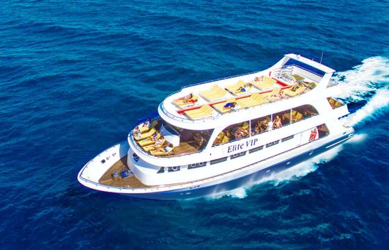ELITE VIP D