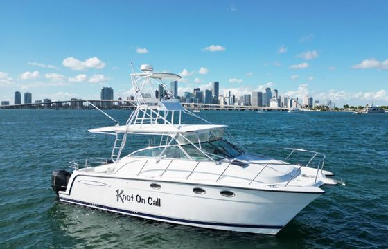 Miami Catamaran