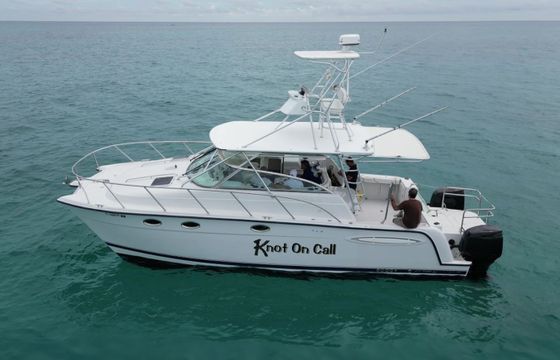 Miami Catamaran