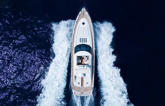 PRINCESS V65