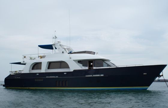 Steel Custom Trawler 23m