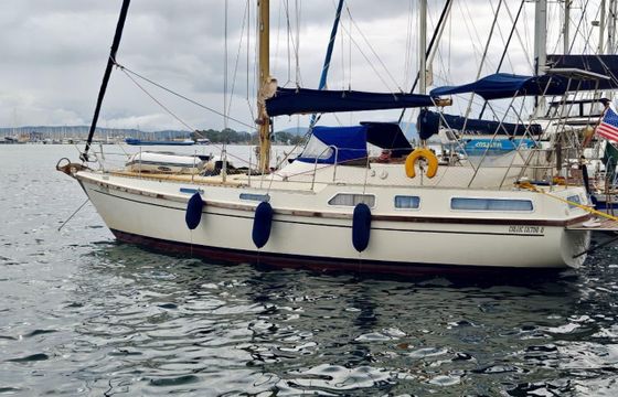 Colvic Victor 41