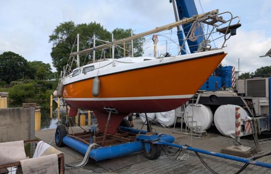 Neptun 26