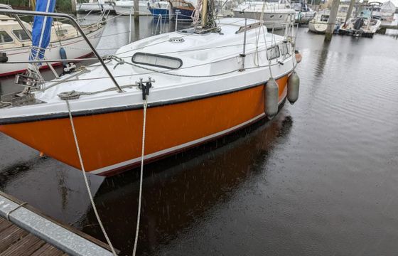 Neptun 26