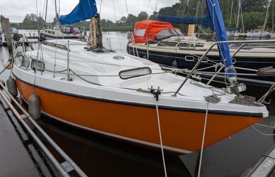 Neptun 26