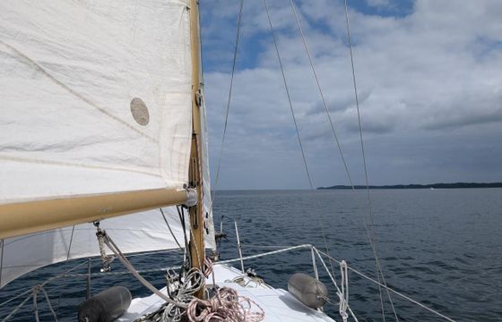 Neptun 26