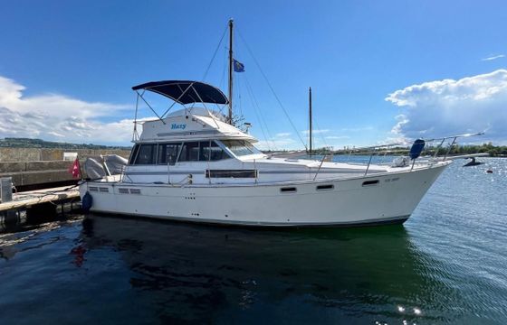 Bayliner 3888