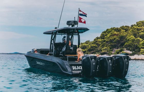 Swiss Cat 31