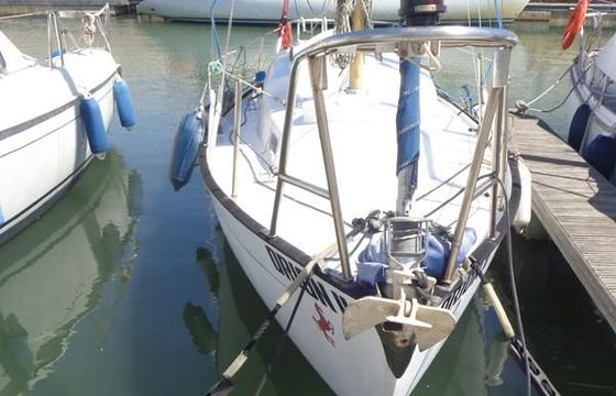 Invicta 26