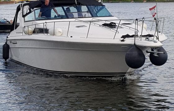 Sea Ray sundancer 420