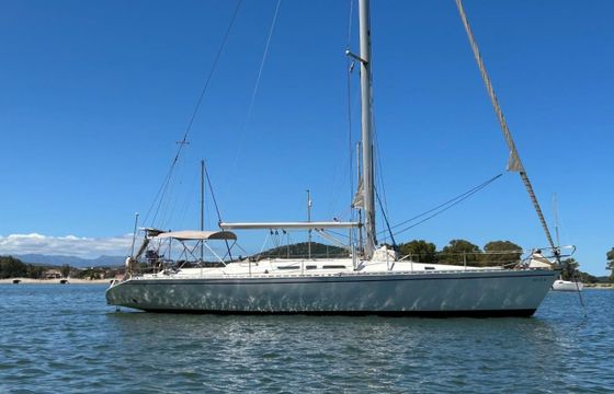 Atlantic Magic 49