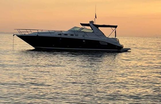 Sea Ray 37